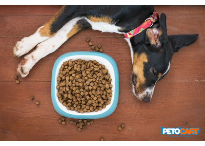 Order Online Multi-Protein Dog Food for Labs